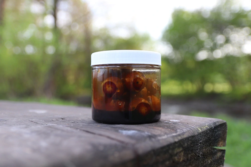 Dipované Boilies Dudi Bait Tigernuts-Amur 100g Rozpustné (Solubile) 
