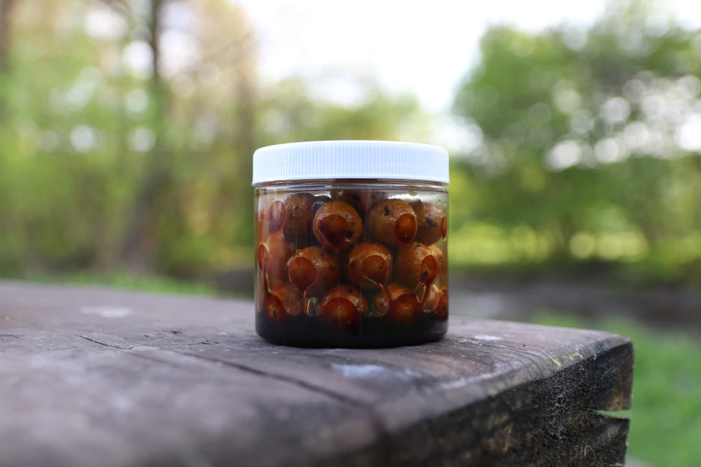 Dipované Boilies Dudi Bait Tigernuts-Amur 100g Nerozpustné (Tari)  