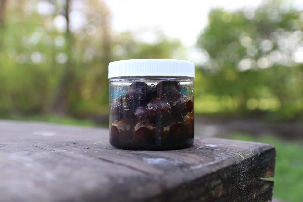 DUDI BAIT Mister Dudi Dipované ROZPUSTNÉ100g 