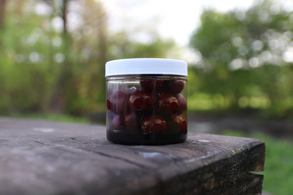 DUDI BAIT Forest Squid Dipované ROZPUSTNÉ 100g 
