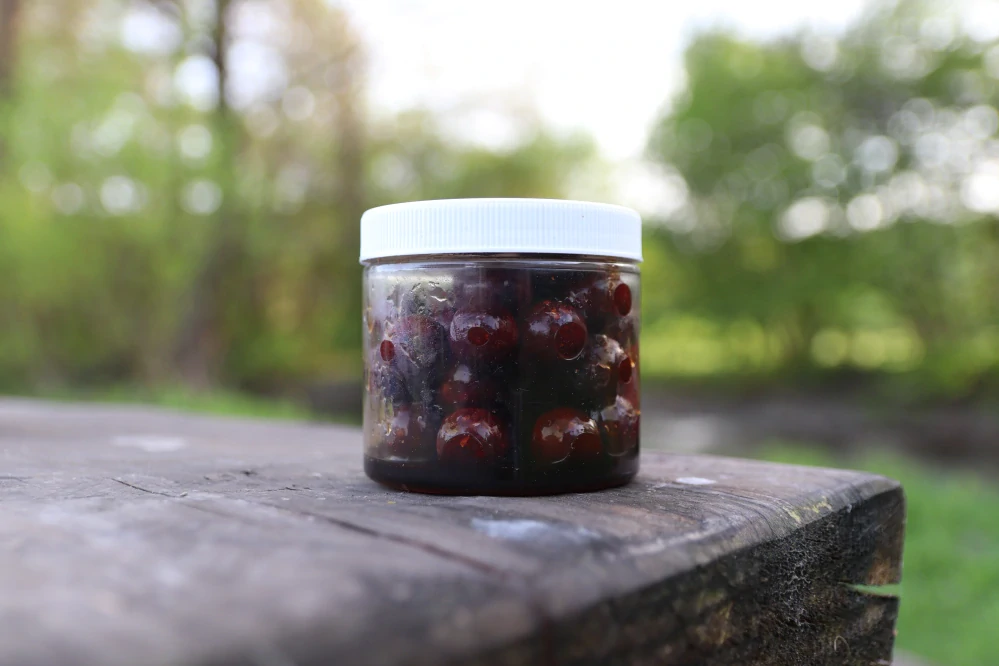 Dipované Boilies Dudi Bait Mister Red Super Hot 100g Nerozpustné (Tari)